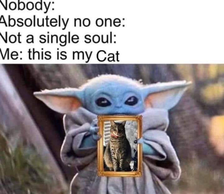 This meme features a character from the Star Wars franchise, known as "Baby Yoda" from the Disney+ series "The Mandalorian," holding up a painting of himself. The text above the image reads: "When you're a space-faring, Force-sensitive, 50-year-old in a toddler's body." The meme is a humorous take on the character's innocence and youthful appearance, despite being a powerful being in the Star Wars universe.